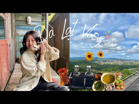 Video ĐÀ LẠT VLOG | Chuyến đi du lịch cuối cùng trong năm... - youtube