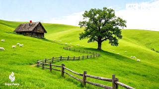 Music therapy 🌿Soothes the nervous system and refreshes the soul, relaxing