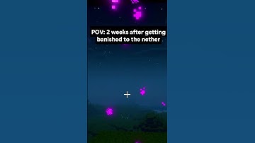 2 weeks after getting banished to the nether by your friends #minecraft #memes