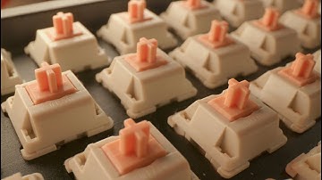 Holy Panda Switch Review! All HYPE!?!?;