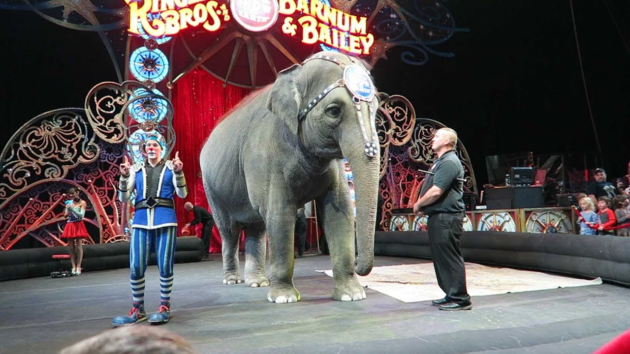 The Greatest Show on Earth! Vlog 10 YouTube