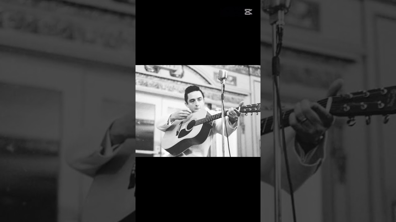 Hurt- The Polar Bear Cover 