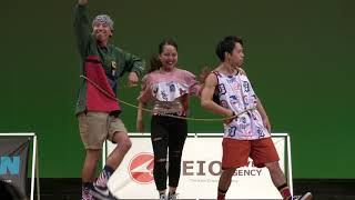DDDE2017 孔雀