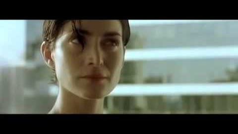 Knowing the path versus walking the path