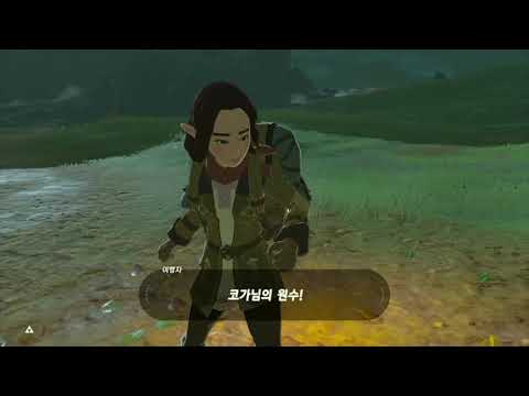 젤다 고인물이 이가단 잡는 방법(8탄)