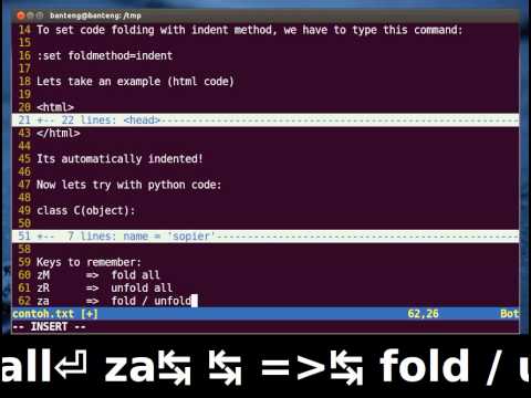Vim Tutorial - Code Folding (Indent Method)