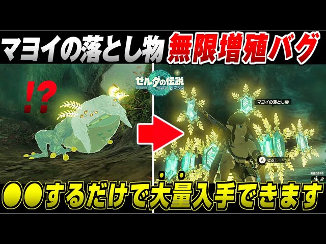 ゼルダの伝説 ティアキン】マヨイの落とし物 無限増殖バグ 超簡単