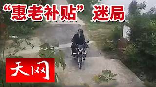 《天网》公职人员上门办养老补贴 老人转身片刻家中五千现金竟凭空消失？20260728