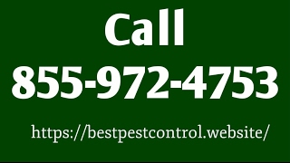 Lynn Pest Control - Pest Control Lynn Massachusetts MA