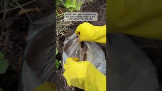 The easiest composting method of all!