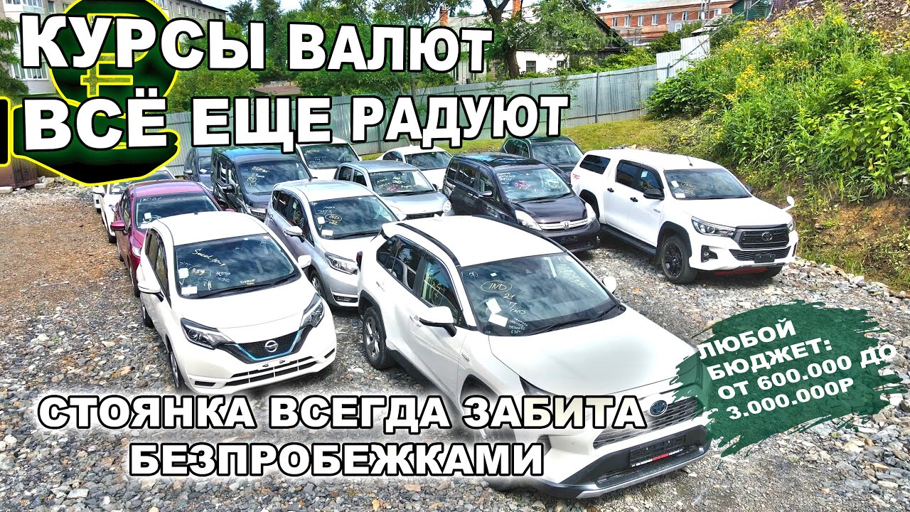 Штраф стоянка автомобилей видное
