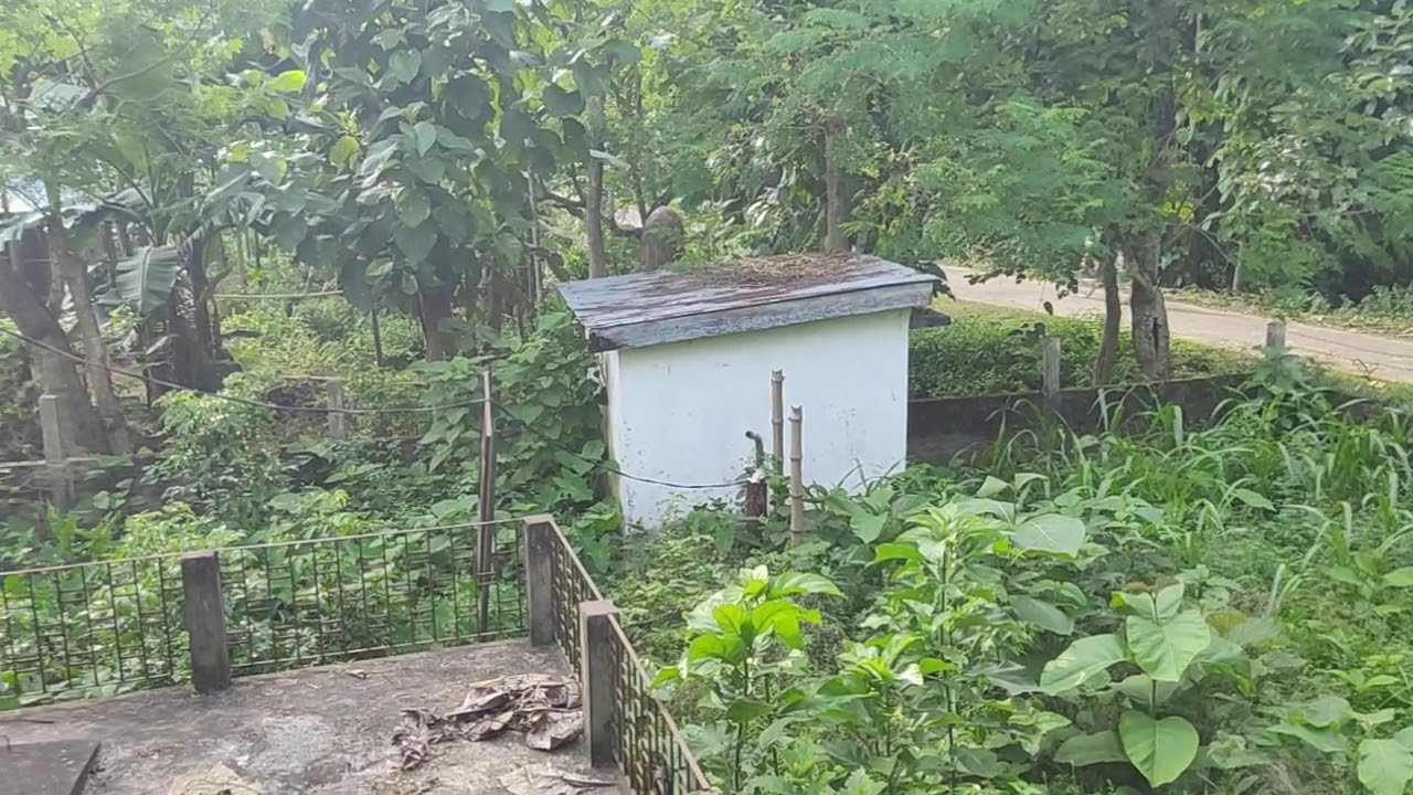 Mandoli PHE KA JAR JAR HALAT(2) YouTube