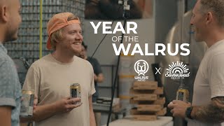 Walrus Audio X Stonecloud Brewing Company: 10 Year Anniversary IPA