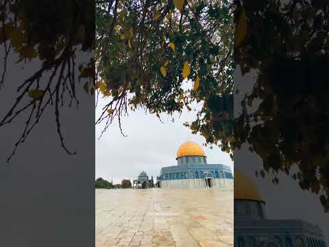 دموع البعد تكويني 