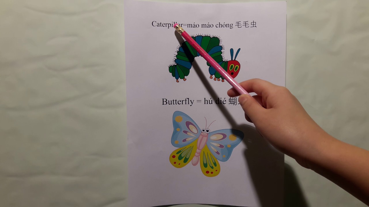 How to say Caterpillar and Butterfly in Mandarin Chinese