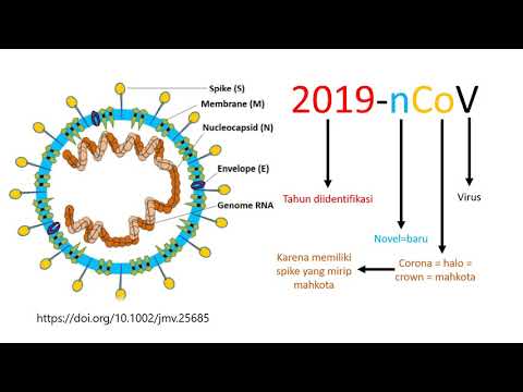 8-fakta-coronavirus-(2019-ncov)