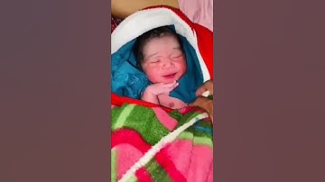 Me Jhukega Nahi Saala - Allu Arjun Dialogue 🤩 / Pushpa Raj Status