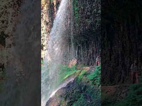 Best Waterfall Hike In Oregon: Trail Of Ten Falls At Silver Falls State Park