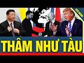 ĐÚNG LÀ THÂM NHƯ TÀU! Ukraine gia nhập NATO, Trung Quốc đi nước cờ khiến Moscow MẤT TRẮNG ở Ukraine