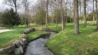 Tranquility on Glenmaura Walks with Ellen Rudis