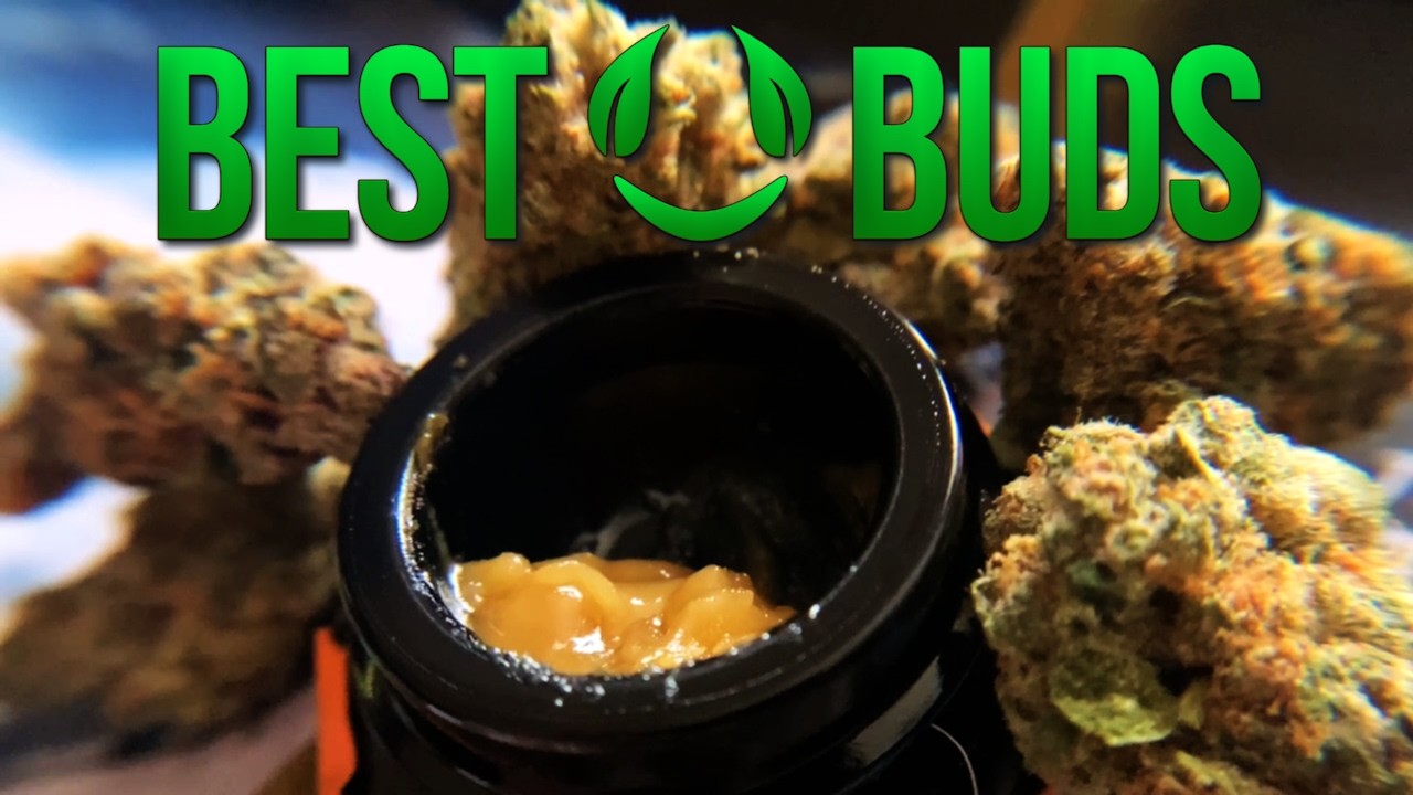 The BEST BUDS THCa REVIEW!