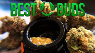 Famous The BEST BUDS THCa REVIEW! Wealth