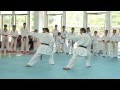 Yeghegnadzor shotokan karate