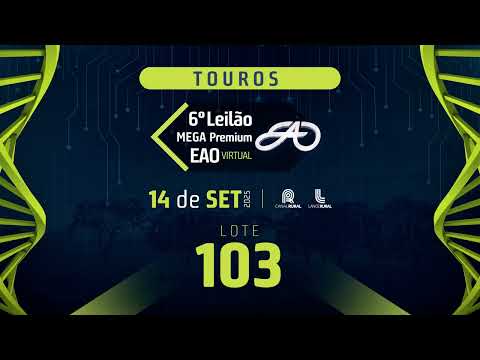 LOTE 103