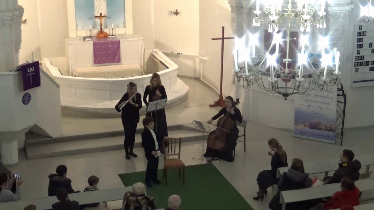 Вакуленко Антон, Бетховен, Ода "К радости"