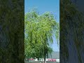 20 мая 2026 г.