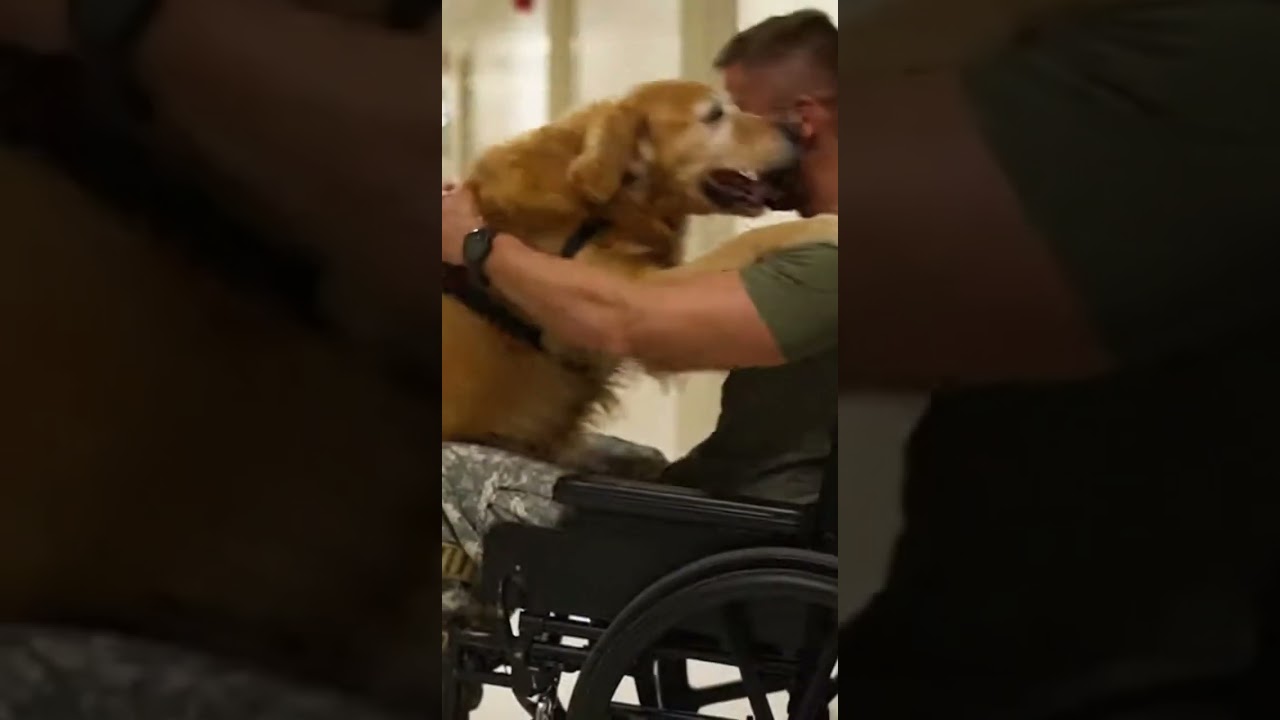 Injured Soldier Reunited With His Dog After 2 Years Tears Of Joy 