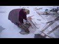 Life in the arctic: Nenets saga