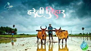 Cg New Hareli Tihar Status  cg Status  4k Status  lucky Editz