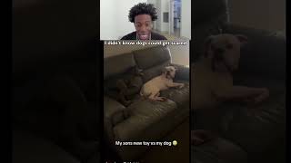 I never knew dogs could be scared
