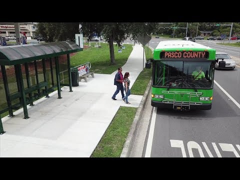Pasco County Public Transportation - Take a Ride Today!