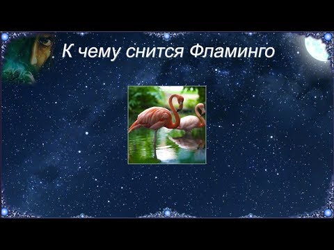 К чему снится Фламинго (Сонник)