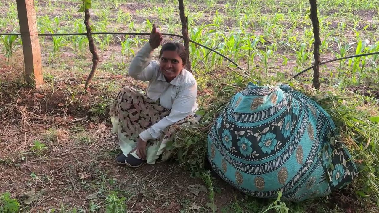 दगडावाणी पार मि झिजून झिजून चालली…