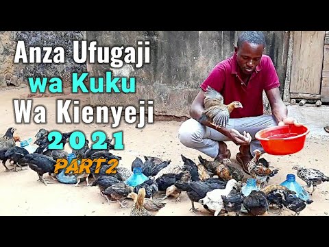 Video: Jinsi Ya Kumwambia Kuku Kutoka Kwa Jogoo