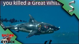 Shark Attack 
アンティークチェア Video accidentally captures deadly 'shark attack' on Mexico vacation