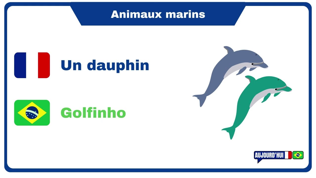 Francês lição 17 - Os animais marinhos em francês - les animaux marins en français