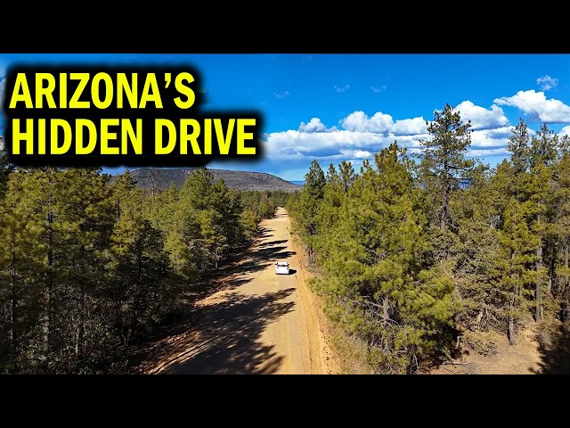 I Wasn't Expecting This on Arizona's Highway 288 - YouTube