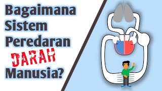 Sistem Peredaran Darah Manusia Seperti Ini (Lihat Langsung Paham)