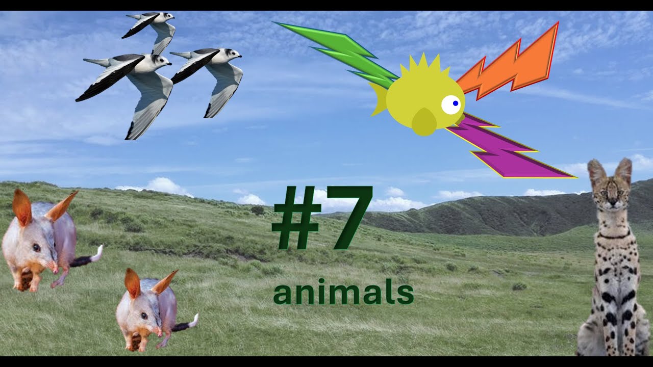 Am I an animal expert? | Playing JetPunk's animal quizzes