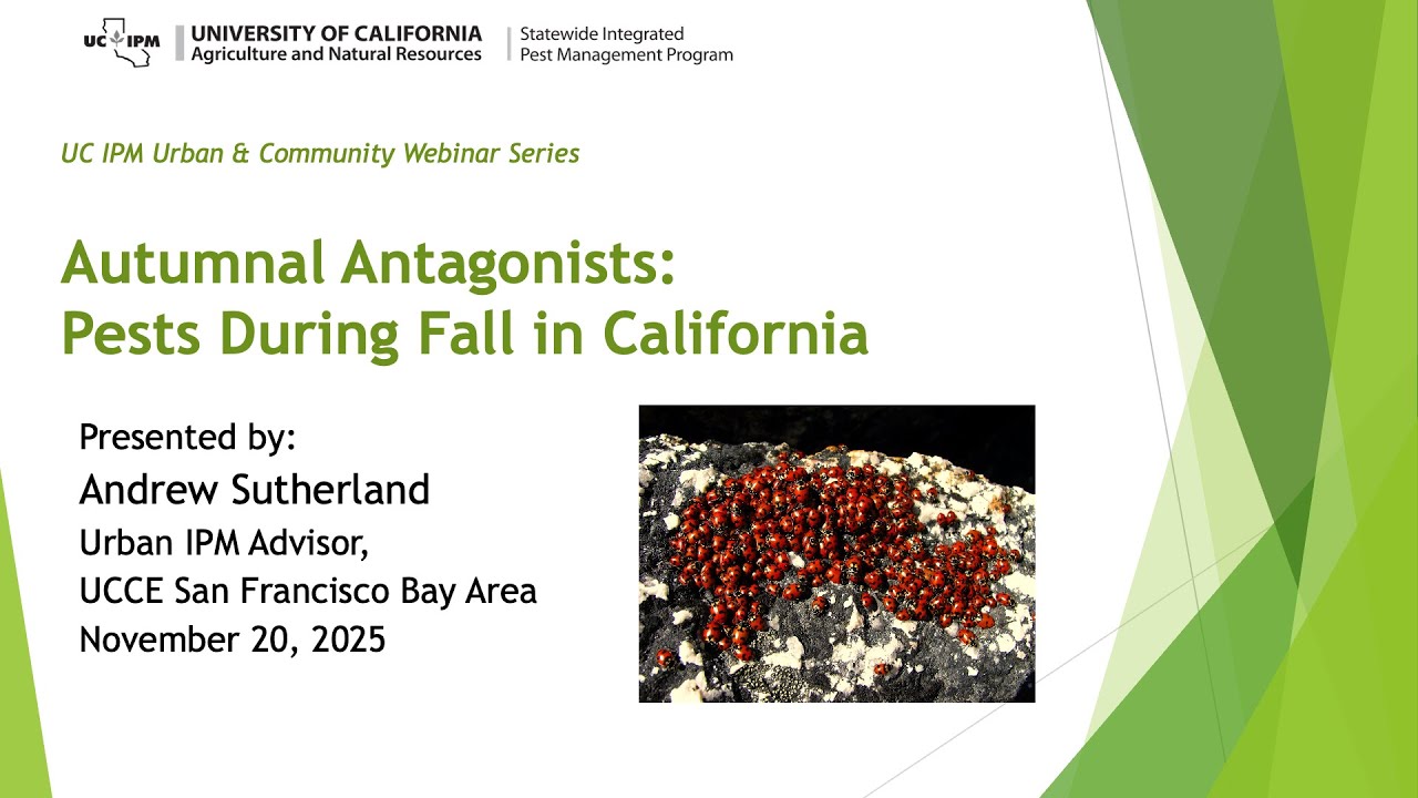 Autumnal Antagonists: Pests During Fall in California