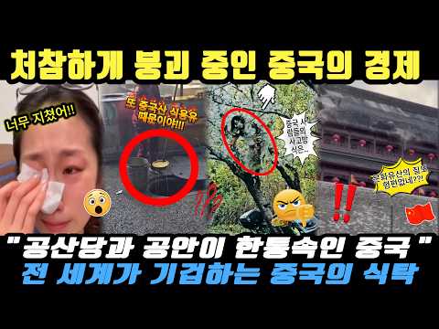 중국반응ㅣUN 위성 속인 가짜 농장에 고름 터진 고기! 예금 증발하고 붕괴 직전인 중국의 소름 돋는 찐 현실 💥