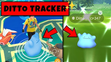 New Trick To Catch Shiny Ditto in Pokemon Go | Pokemon Go New Trick