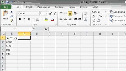 Excel 2010 Beginner 1, Lesson 05