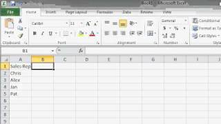 Excel 2010 Beginner 1, Lesson 05