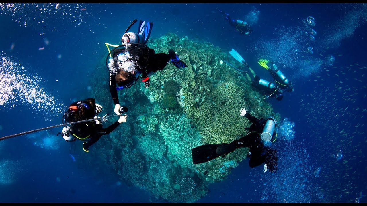 Ribbon Reefs The Great Barrier Reef YouTube