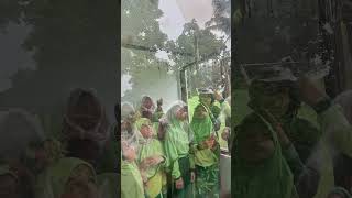 penangkaran Kupu-kupu #penangkaranKupukupu